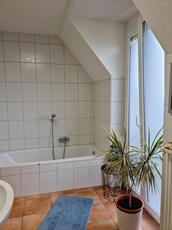 Lichtdurchflutetes Zimmer - Mainwiesen Waldbuttelbrunn Luaran gambar