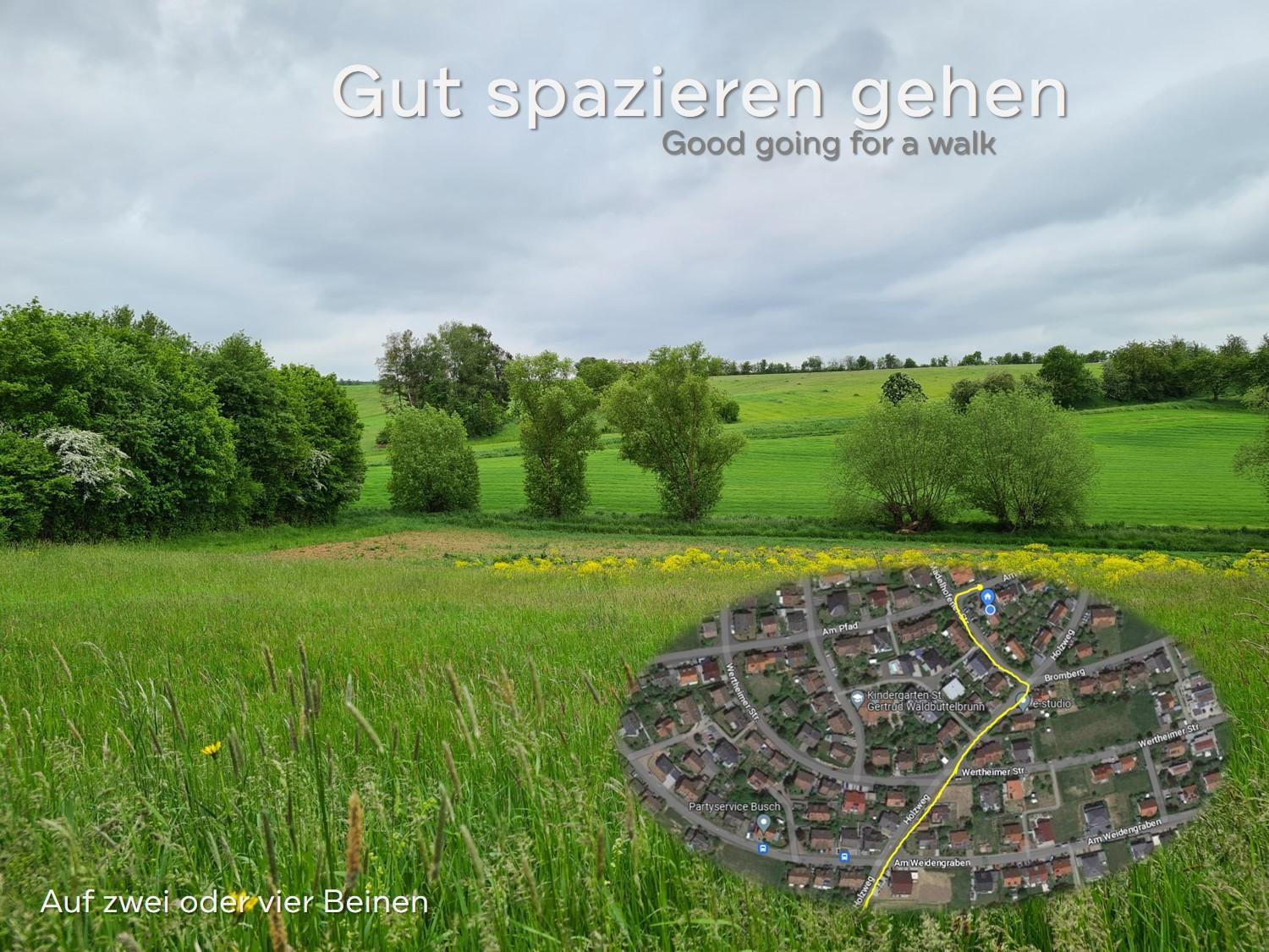 Lichtdurchflutetes Zimmer - Mainwiesen Waldbuttelbrunn Luaran gambar